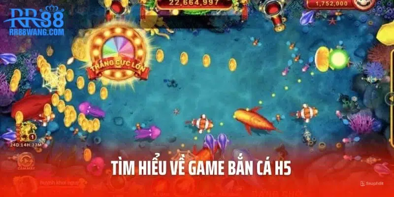 Bắn Cá H5 – Sân Chơi Hấp Dẫn Dành Cho Những Tay Săn Can Đảm