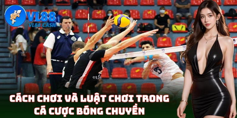Cá Cược Bóng Chuyền VL88 – Bí Kíp Bất Bại Cho Dân Chơi