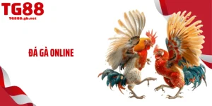 Blog Cá Cược TG88 - Cộng Đồng Truy Cập Theo Dõi Mỗi Ngày