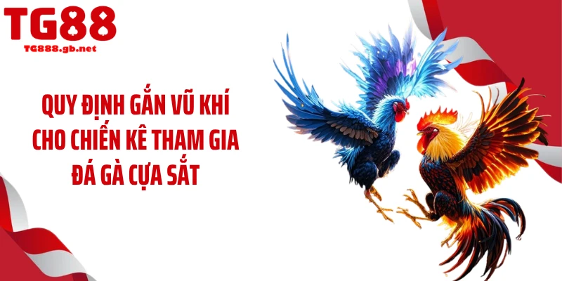 Đá Gà Cựa Sắt -Tăng Nhiệt Với Loạt Trận Máu Lửa