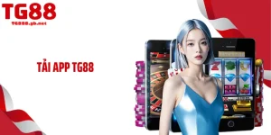 Hướng Dẫn TG88 - Loạt Mẹo Cho Hội Viên Trải Nghiệm Trọn Vẹn