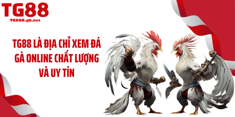 Đá Gà Online TG88 - Theo Dõi Chọi Kê Mãn Nhãn Mỗi Ngày 