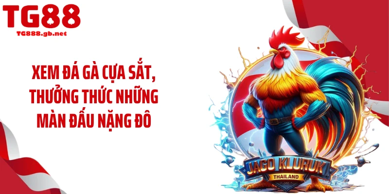 Đá Gà Cựa Sắt -Tăng Nhiệt Với Loạt Trận Máu Lửa