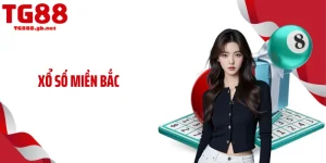 Blog Cá Cược TG88 - Cộng Đồng Truy Cập Theo Dõi Mỗi Ngày